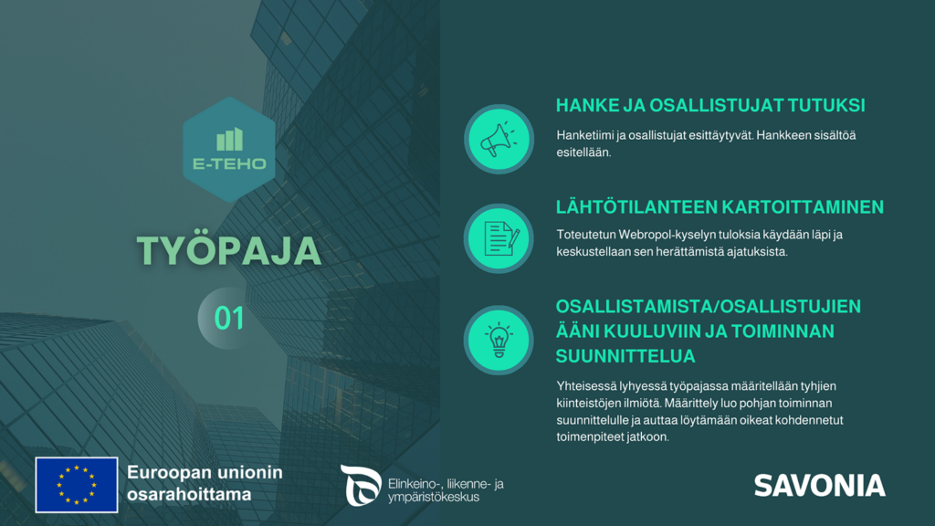 Hankkeen ensimmäisen työpajan infokuva.