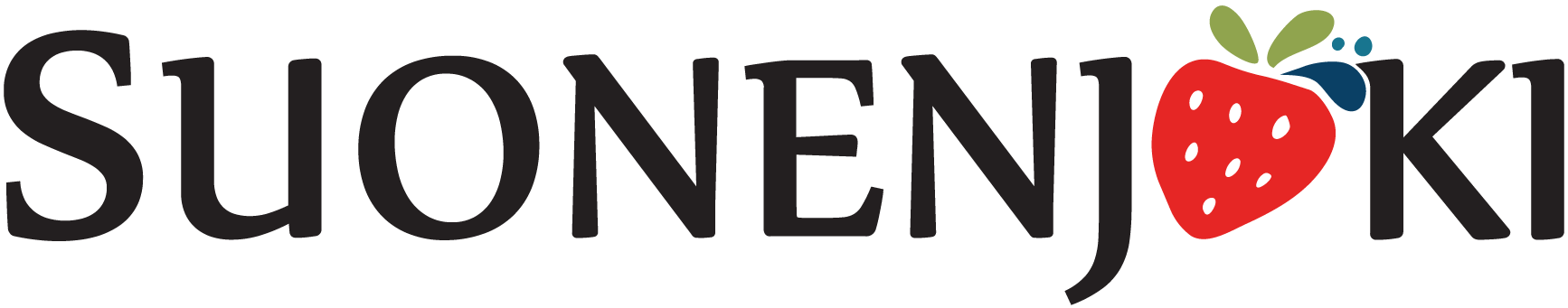 Suonenjoki